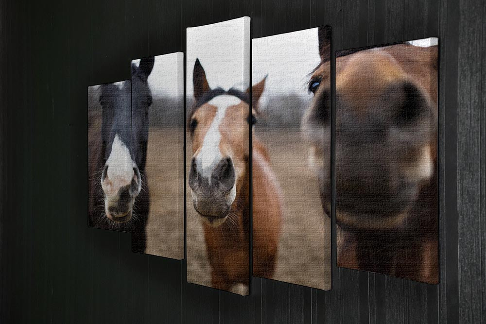Wild horses on the meadow at spring time 5 Split Panel Canvas - Canvas Art Rocks - 2