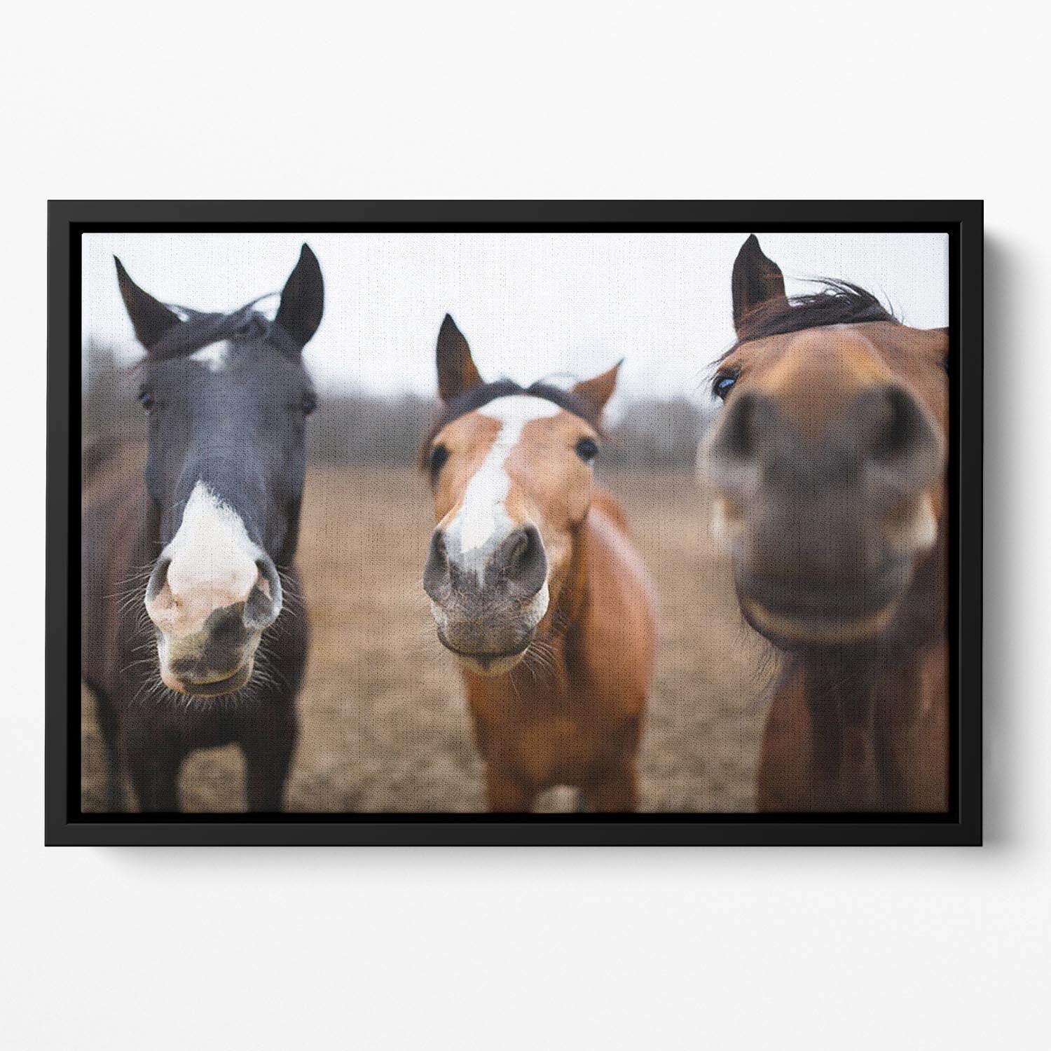 Wild horses on the meadow at spring time Floating Framed Canvas - Canvas Art Rocks - 2