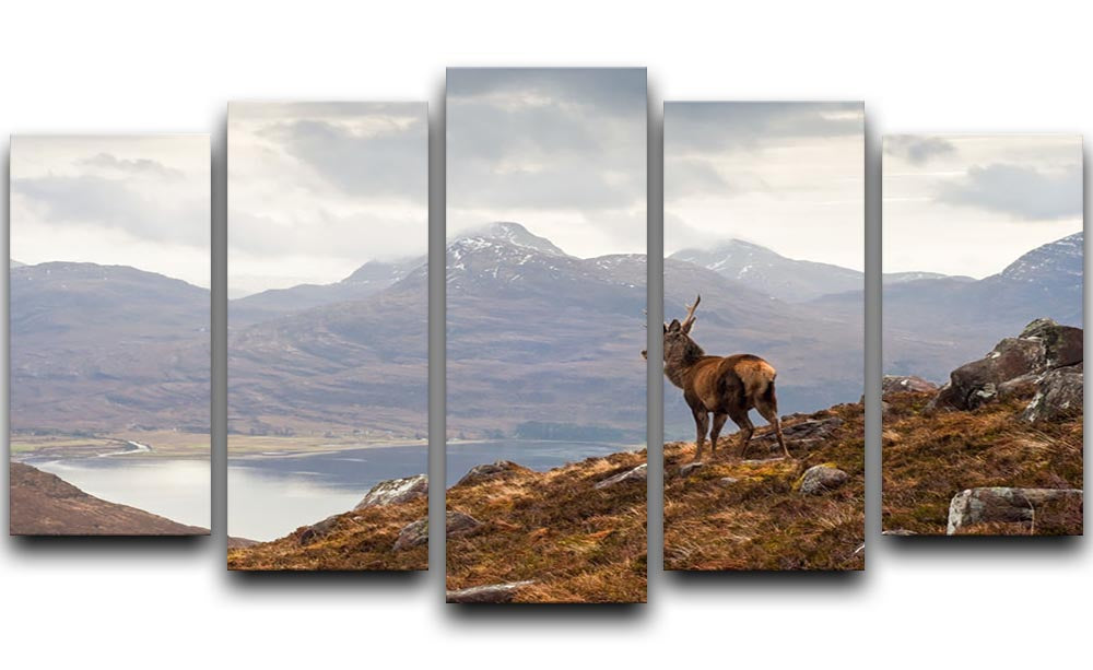 Wild stag overlooking Loch Torridon 5 Split Panel Canvas - Canvas Art Rocks - 1