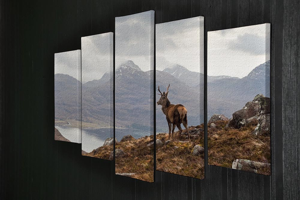 Wild stag overlooking Loch Torridon 5 Split Panel Canvas - Canvas Art Rocks - 2