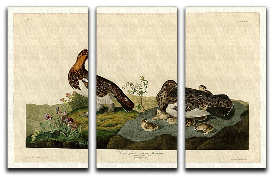 Willow Grouse by Audubon 3 Split Panel Canvas Print - Canvas Art Rocks - 1