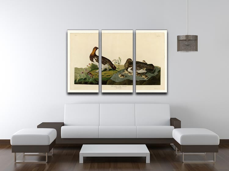 Willow Grouse by Audubon 3 Split Panel Canvas Print - Canvas Art Rocks - 3