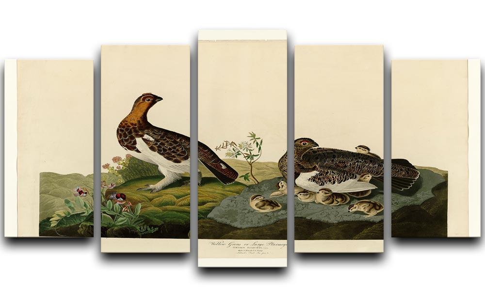 Willow Grouse by Audubon 5 Split Panel Canvas - Canvas Art Rocks - 1
