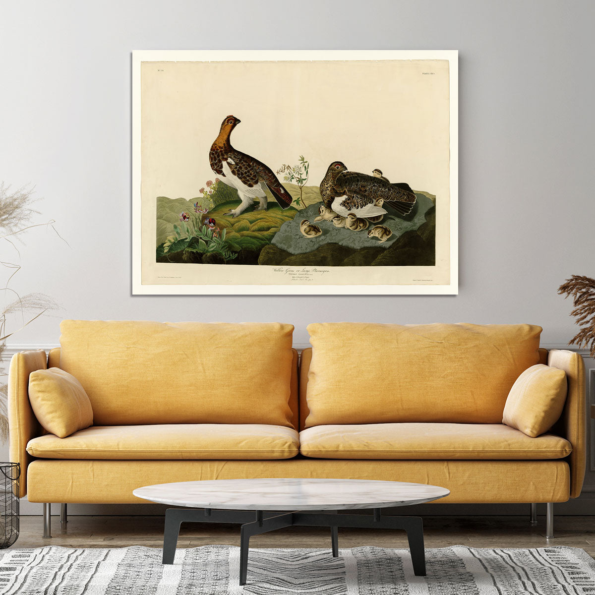 Willow Grouse by Audubon Canvas Print or Poster - Canvas Art Rocks - 4