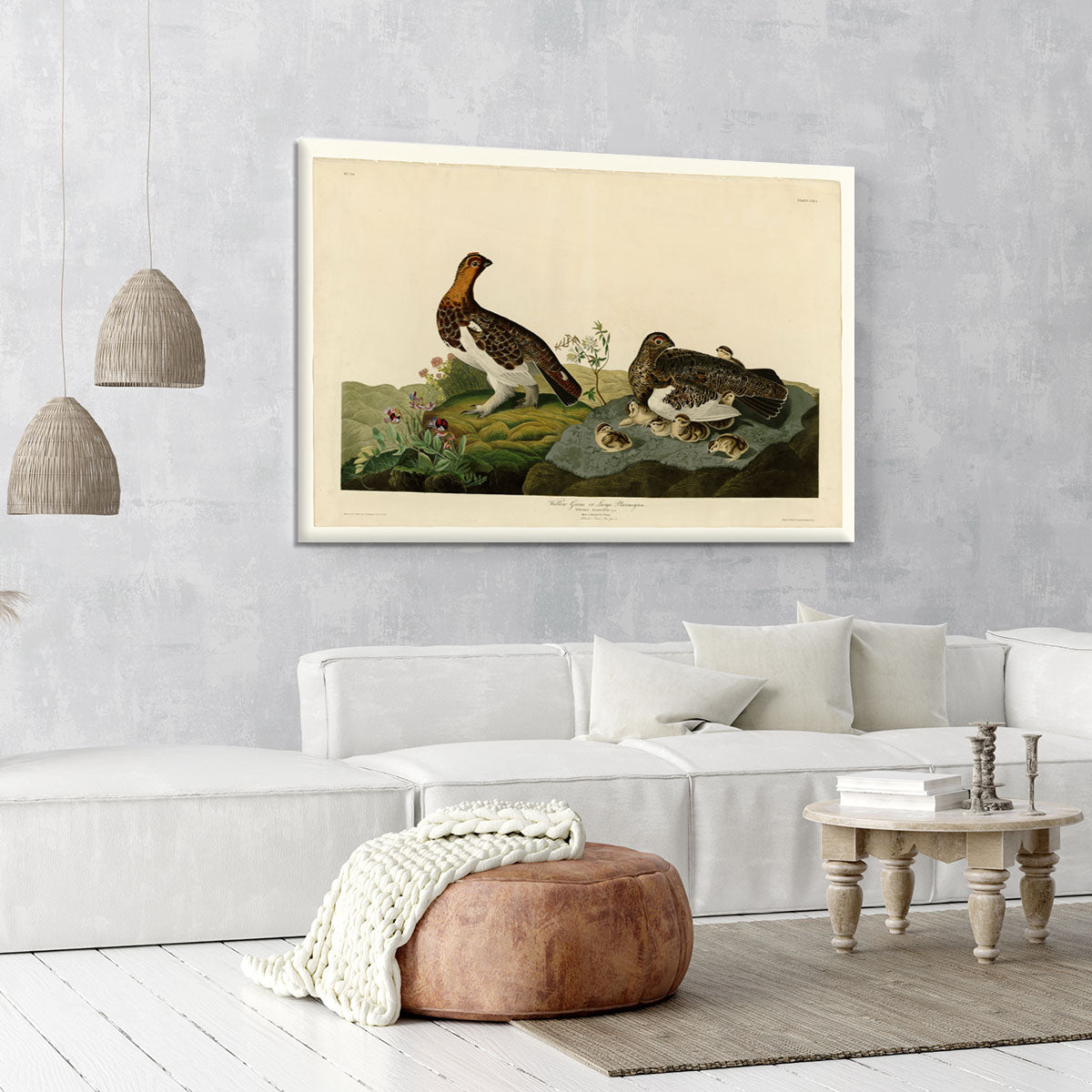 Willow Grouse by Audubon Canvas Print or Poster - Canvas Art Rocks - 6