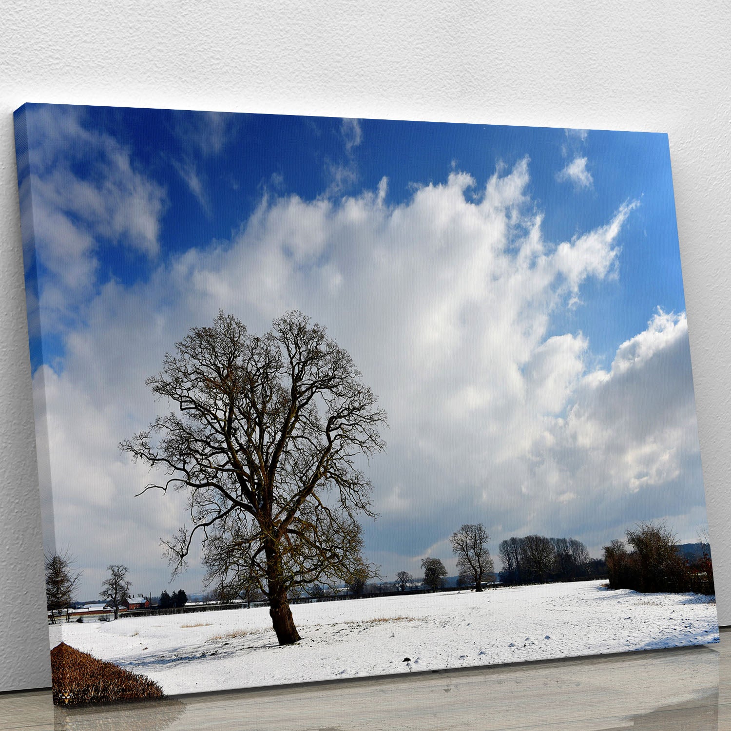 Winters day in wales Canvas Print or Poster - Canvas Art Rocks - 1