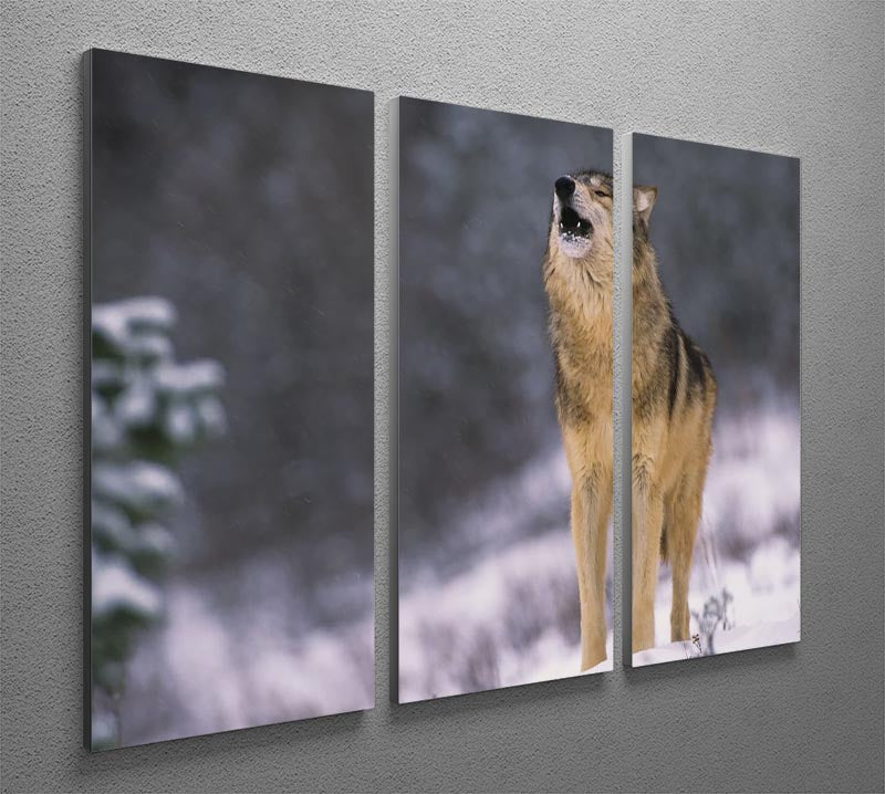 Wolf Howling in White Snow 3 Split Panel Canvas Print - Canvas Art Rocks - 2