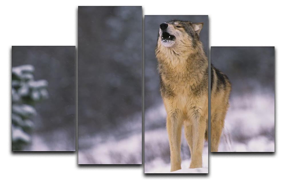 Wolf Howling in White Snow 4 Split Panel Canvas - Canvas Art Rocks - 1