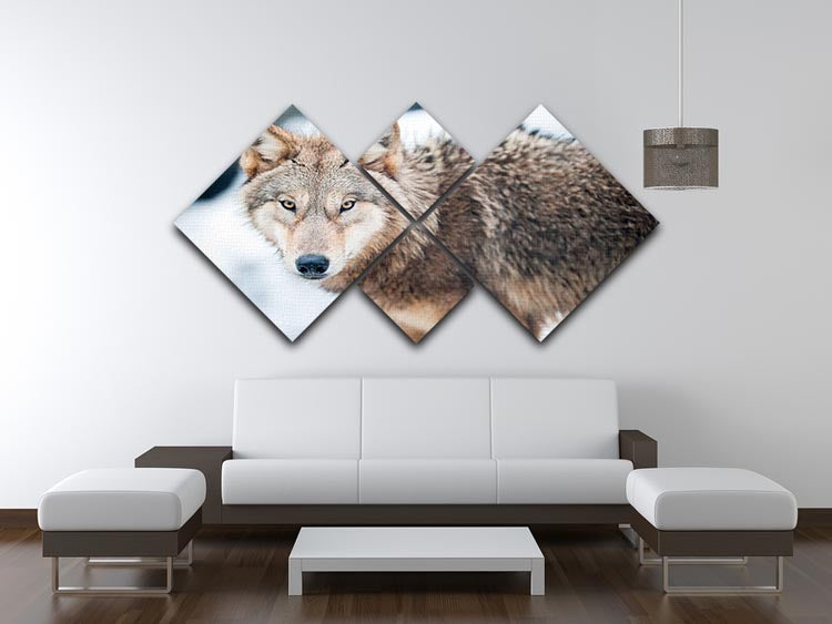 Wolf standing in the snow 4 Square Multi Panel Canvas - Canvas Art Rocks - 3