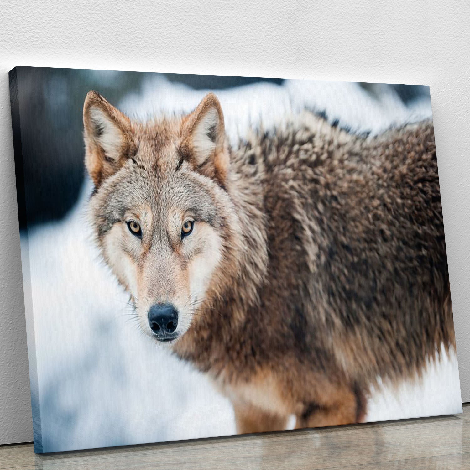 Wolf standing in the snow Canvas Print or Poster - Canvas Art Rocks - 1