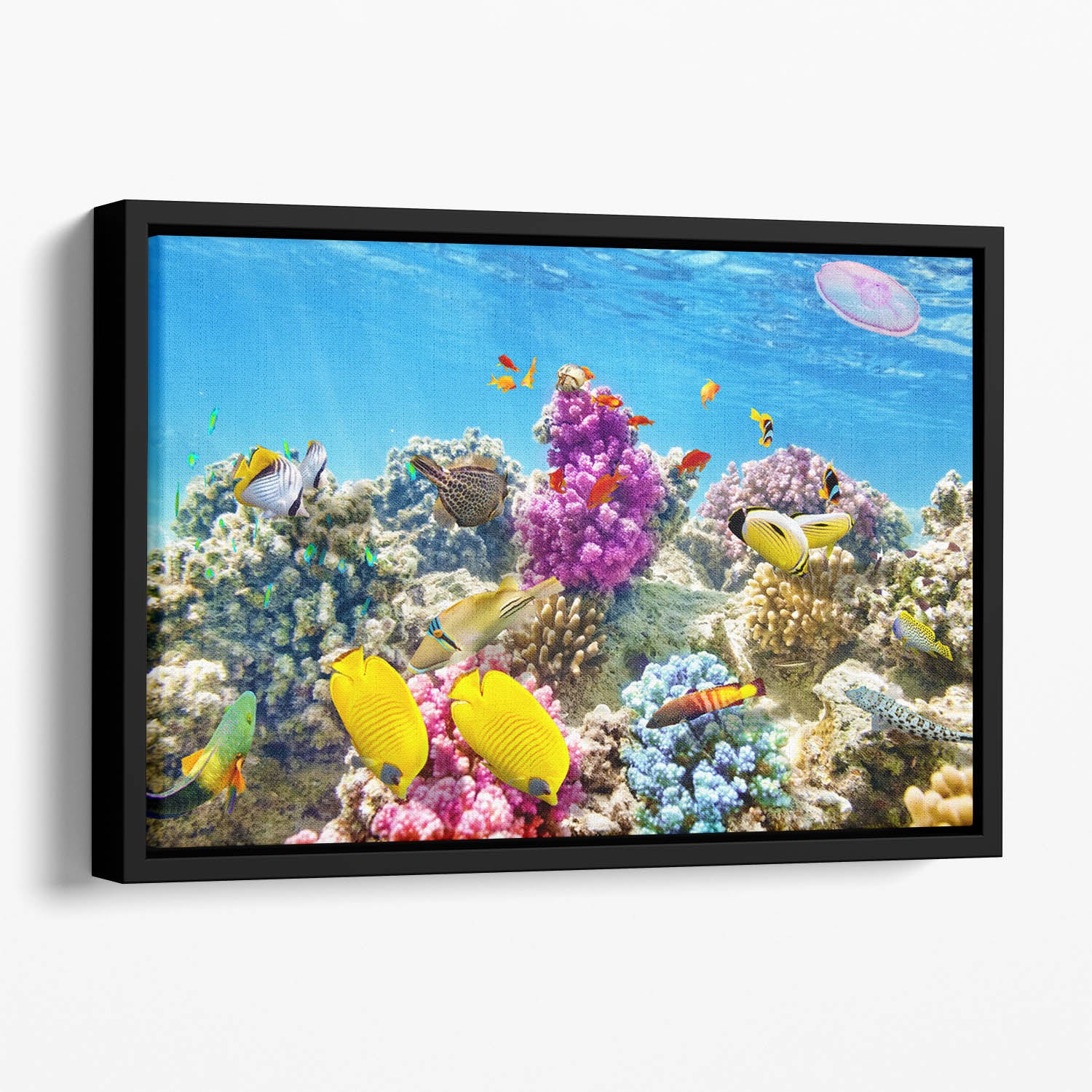 Wonderful and beautiful underwater Floating Framed Canvas