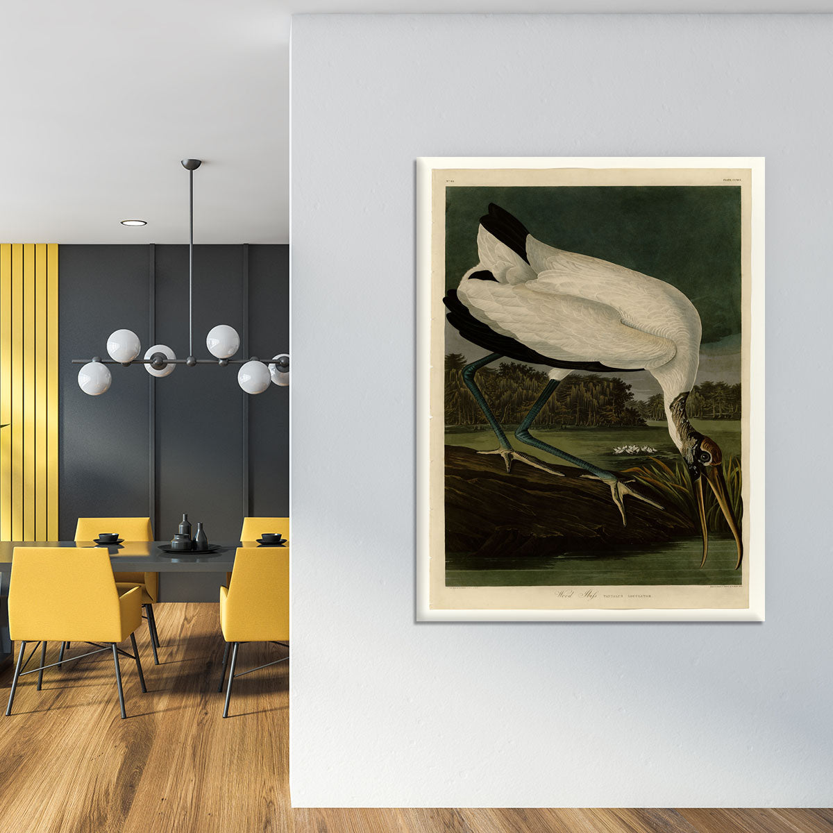 Wood Ibiss by Audubon Canvas Print or Poster - Canvas Art Rocks - 4