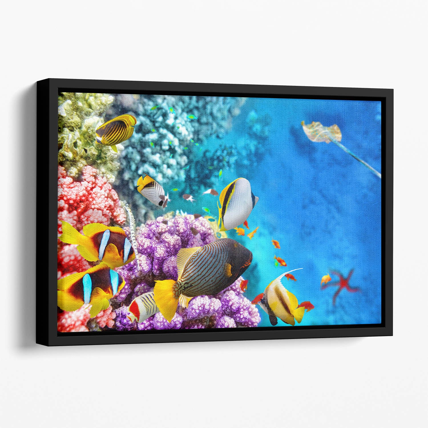 World with corals and tropical fish Floating Framed Canvas