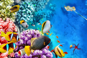 World with corals and tropical fish Wall Mural Wallpaper - Canvas Art Rocks - 1