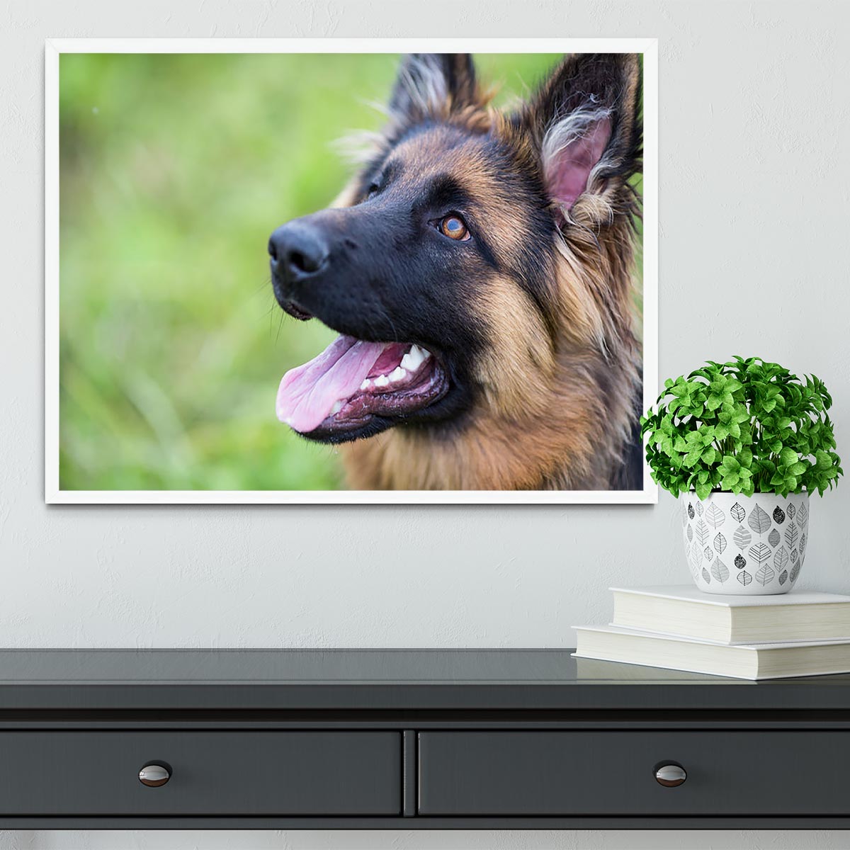 Young dog german shepherd on the grass in the park Framed Print - Canvas Art Rocks -6