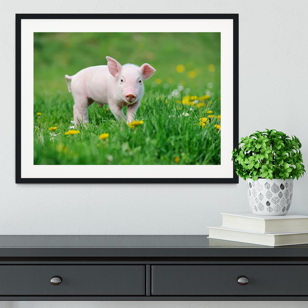 Young funny pig Framed Print - Canvas Art Rocks - 1