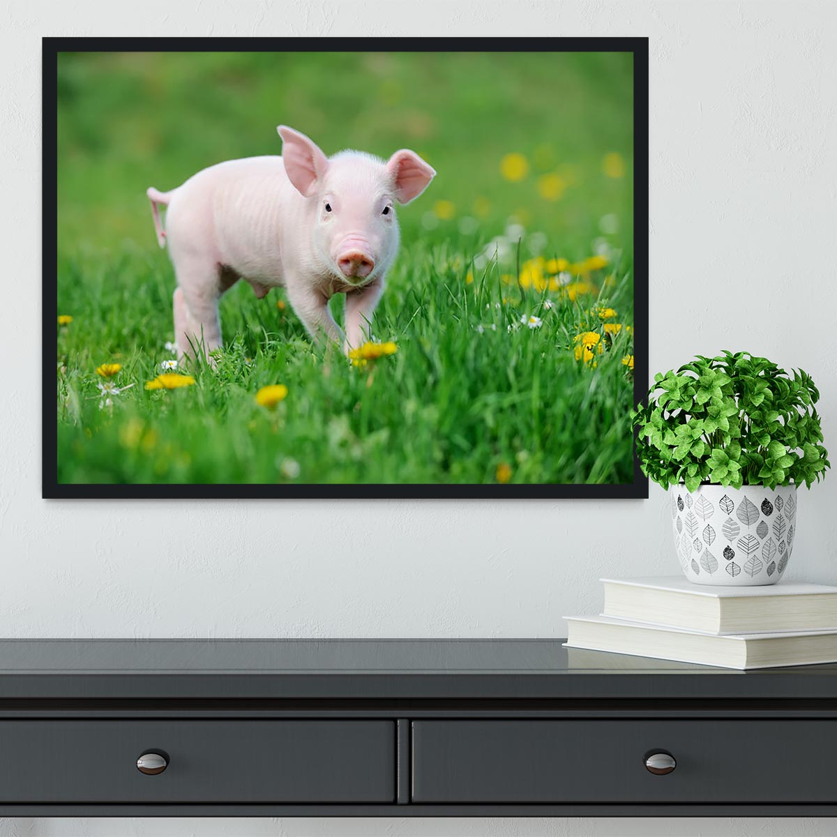Young funny pig Framed Print - Canvas Art Rocks - 2