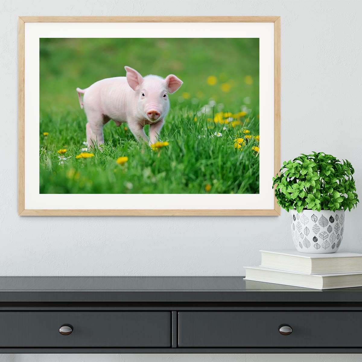 Young funny pig Framed Print - Canvas Art Rocks - 3