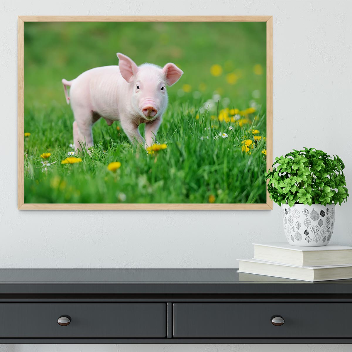 Young funny pig Framed Print - Canvas Art Rocks - 4