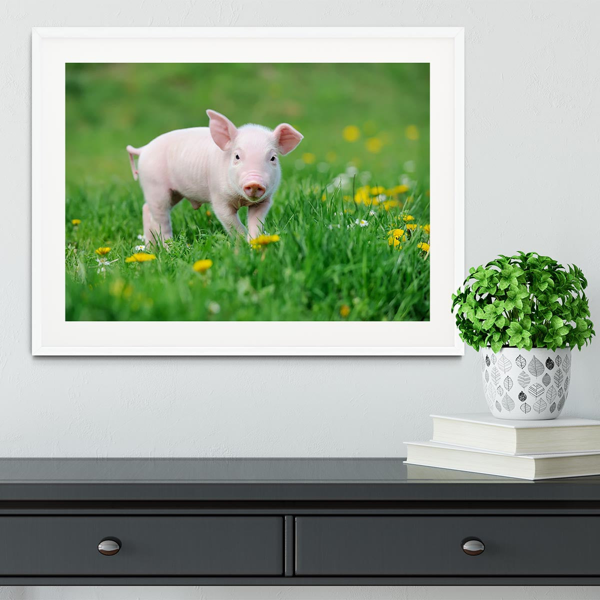 Young funny pig Framed Print - Canvas Art Rocks - 5