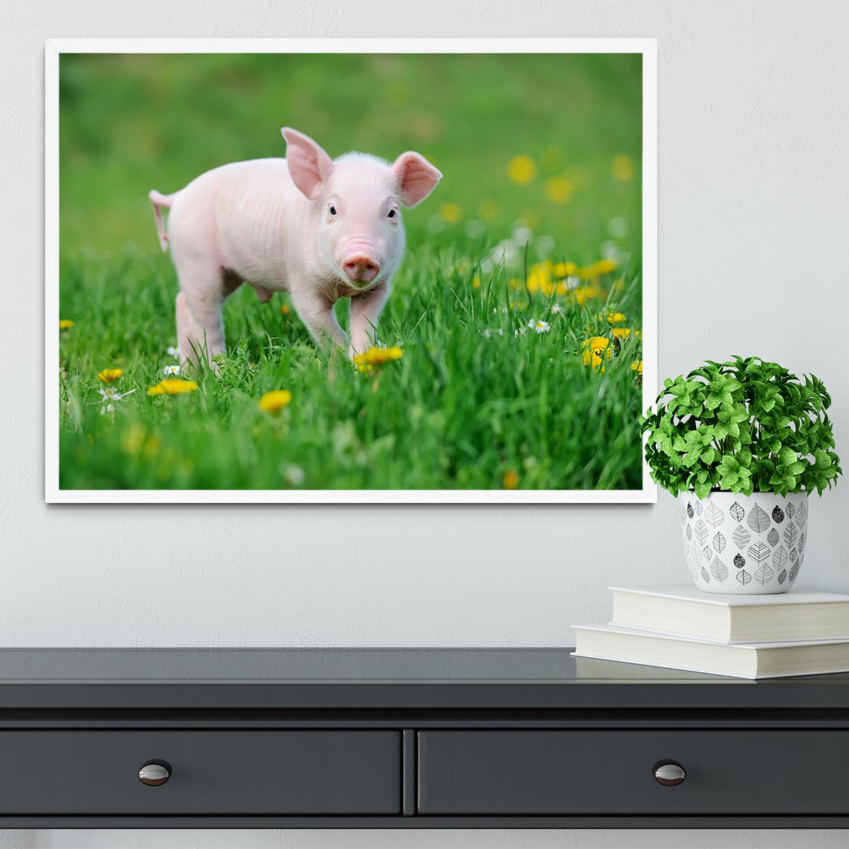 Young funny pig Framed Print - Canvas Art Rocks -6