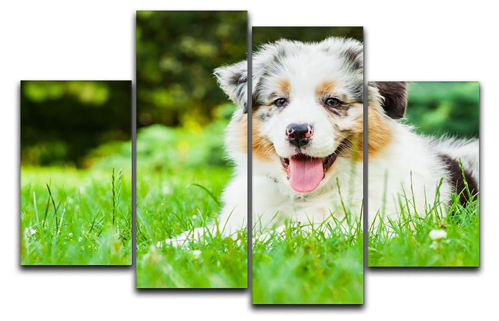 Young puppy lying on fresh green grass in public park 4 Split Panel Canvas - Canvas Art Rocks - 1