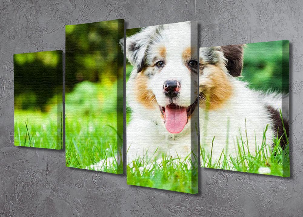 Young puppy lying on fresh green grass in public park 4 Split Panel Canvas - Canvas Art Rocks - 2