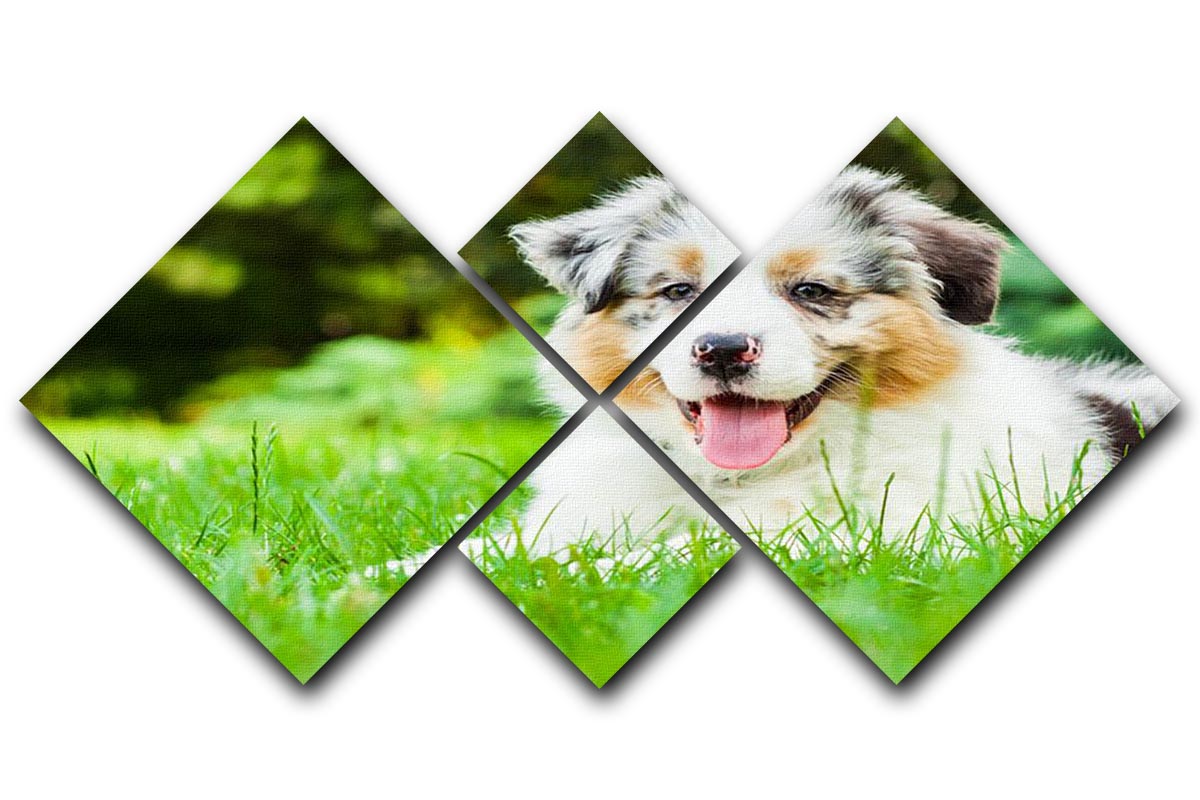 Young puppy lying on fresh green grass in public park 4 Square Multi Panel Canvas - Canvas Art Rocks - 1