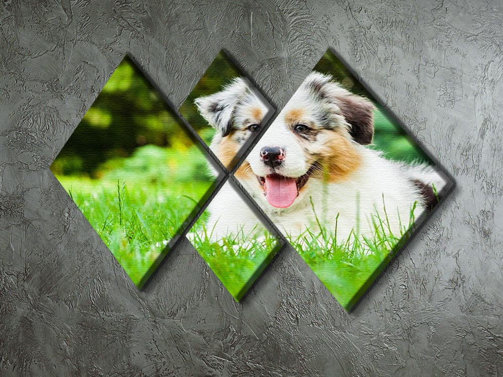 Young puppy lying on fresh green grass in public park 4 Square Multi Panel Canvas - Canvas Art Rocks - 2