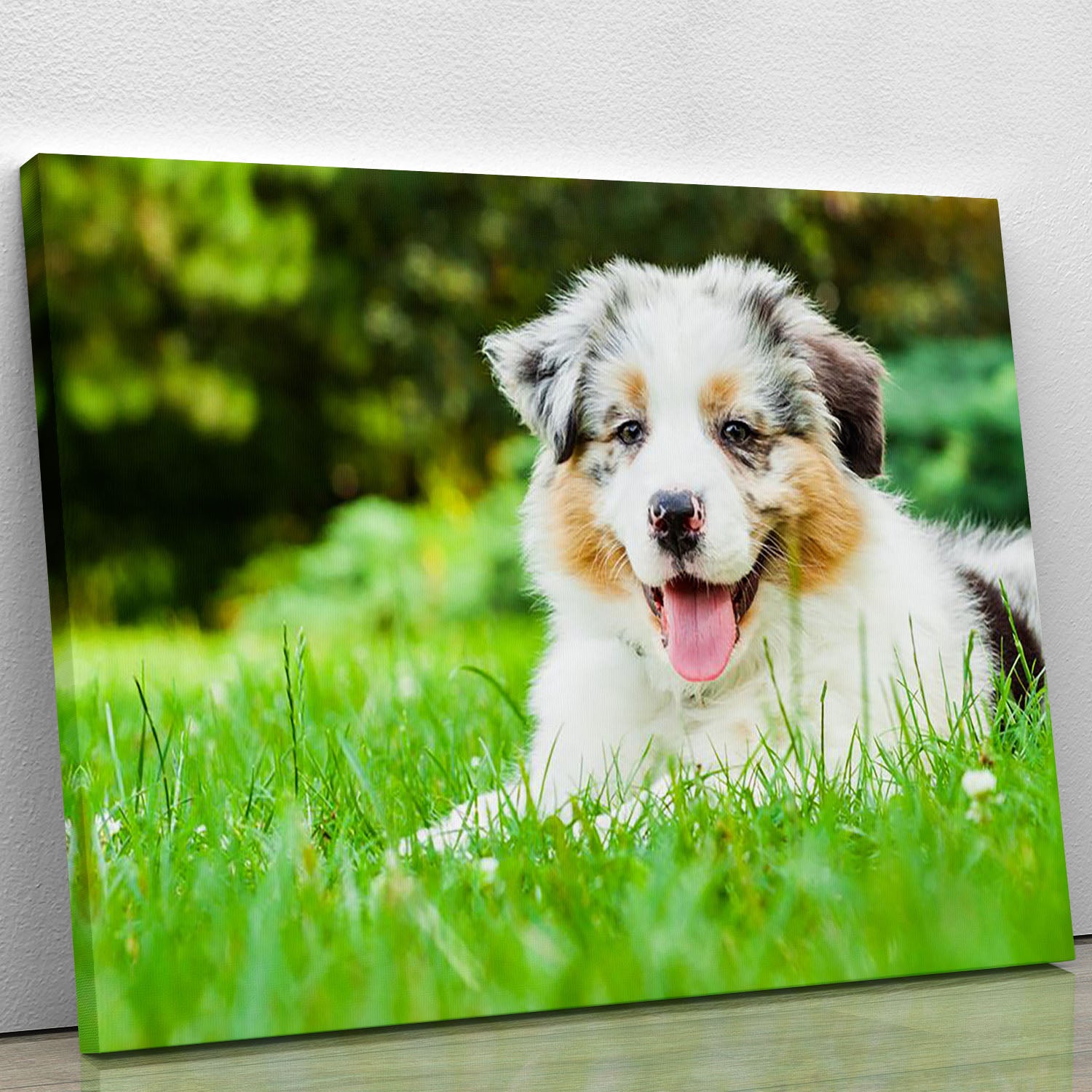 Young puppy lying on fresh green grass in public park Canvas Print or Poster - Canvas Art Rocks - 1