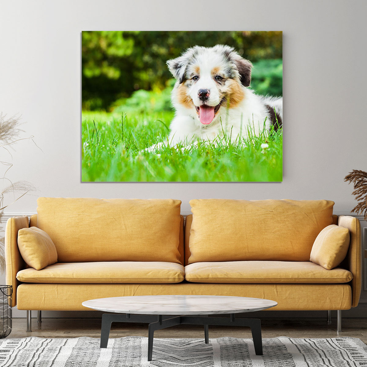 Young puppy lying on fresh green grass in public park Canvas Print or Poster - Canvas Art Rocks - 4