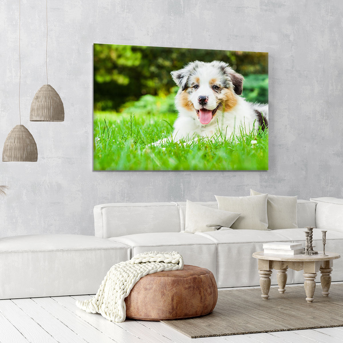 Young puppy lying on fresh green grass in public park Canvas Print or Poster - Canvas Art Rocks - 6