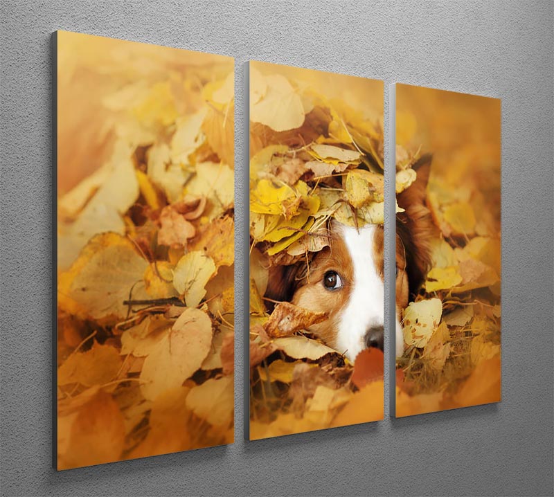 Young red border collie dog playing with leaves 3 Split Panel Canvas Print - Canvas Art Rocks - 2