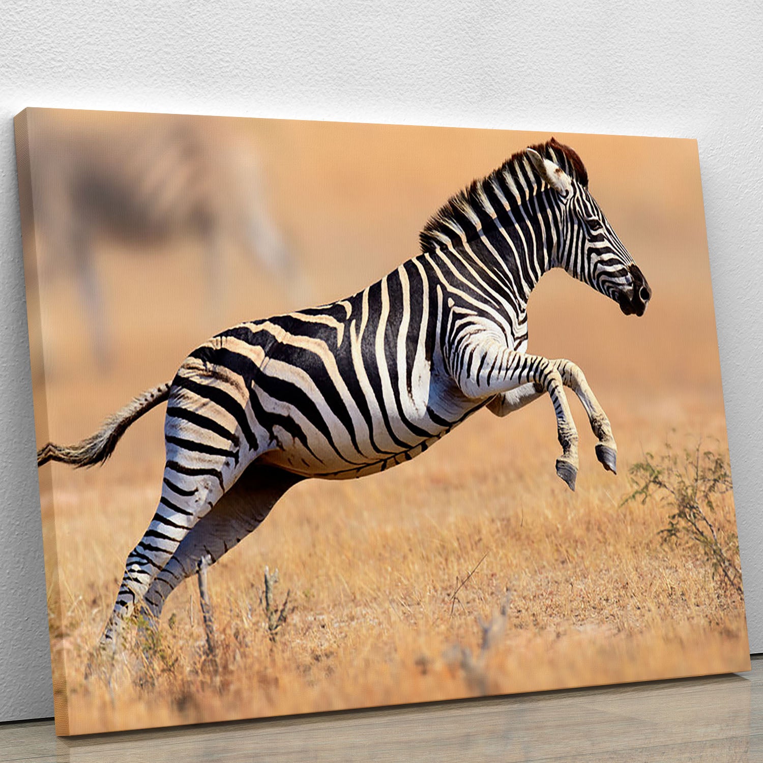 Zebra Canvas Print or Poster - Canvas Art Rocks - 1