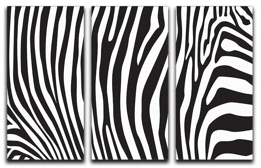 Zebra stripes pattern 3 Split Panel Canvas Print - Canvas Art Rocks - 1