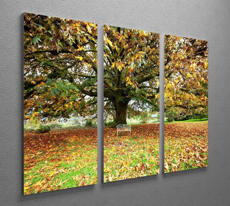 autumn leaves 3 Split Panel Canvas Print - Canvas Art Rocks - 2