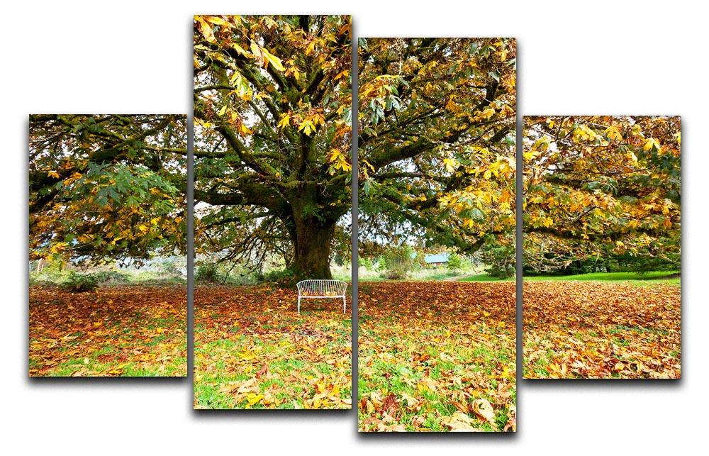 autumn leaves 4 Split Panel Canvas  - Canvas Art Rocks - 1