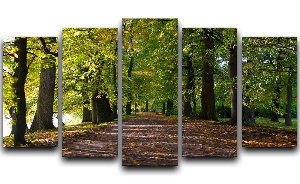 autumn road with leaves in park 5 Split Panel Canvas  - Canvas Art Rocks - 1