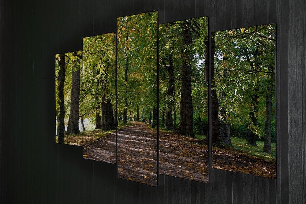 autumn road with leaves in park 5 Split Panel Canvas  - Canvas Art Rocks - 2