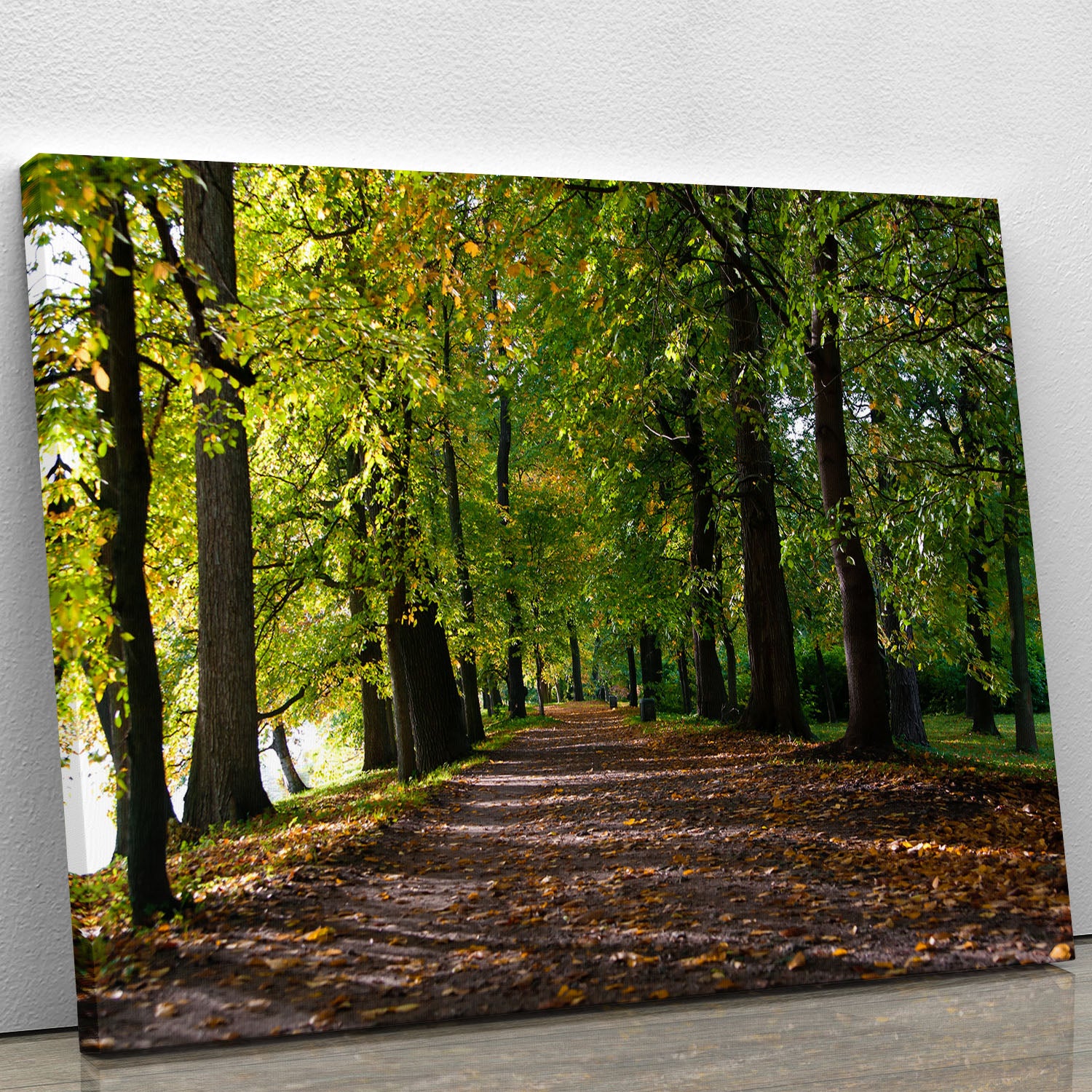autumn road with leaves in park Canvas Print or Poster - Canvas Art Rocks - 1