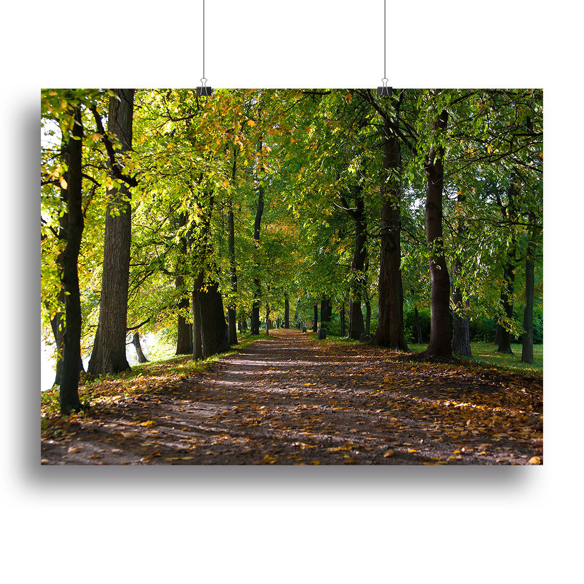 autumn road with leaves in park Canvas Print or Poster - Canvas Art Rocks - 2