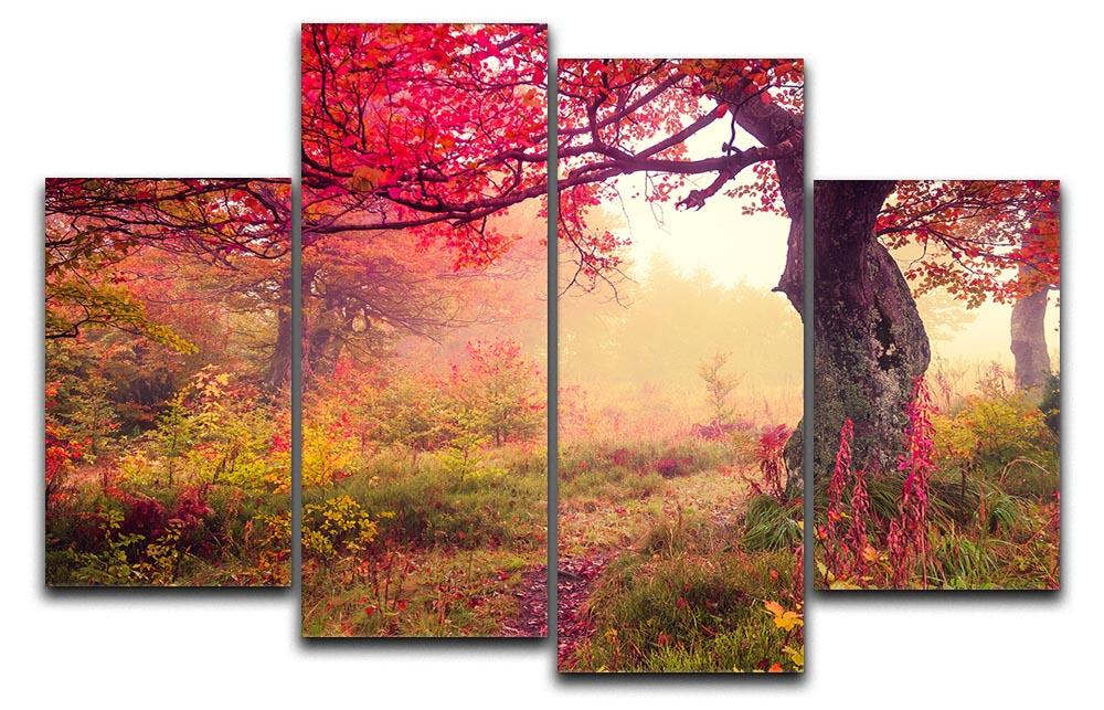 autumn trees in forest 4 Split Panel Canvas  - Canvas Art Rocks - 1