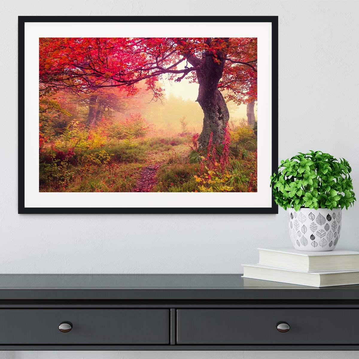 autumn trees in forest Framed Print - Canvas Art Rocks - 1