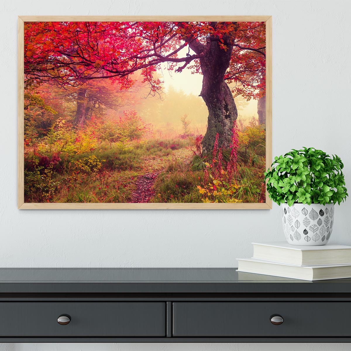 autumn trees in forest Framed Print - Canvas Art Rocks - 4