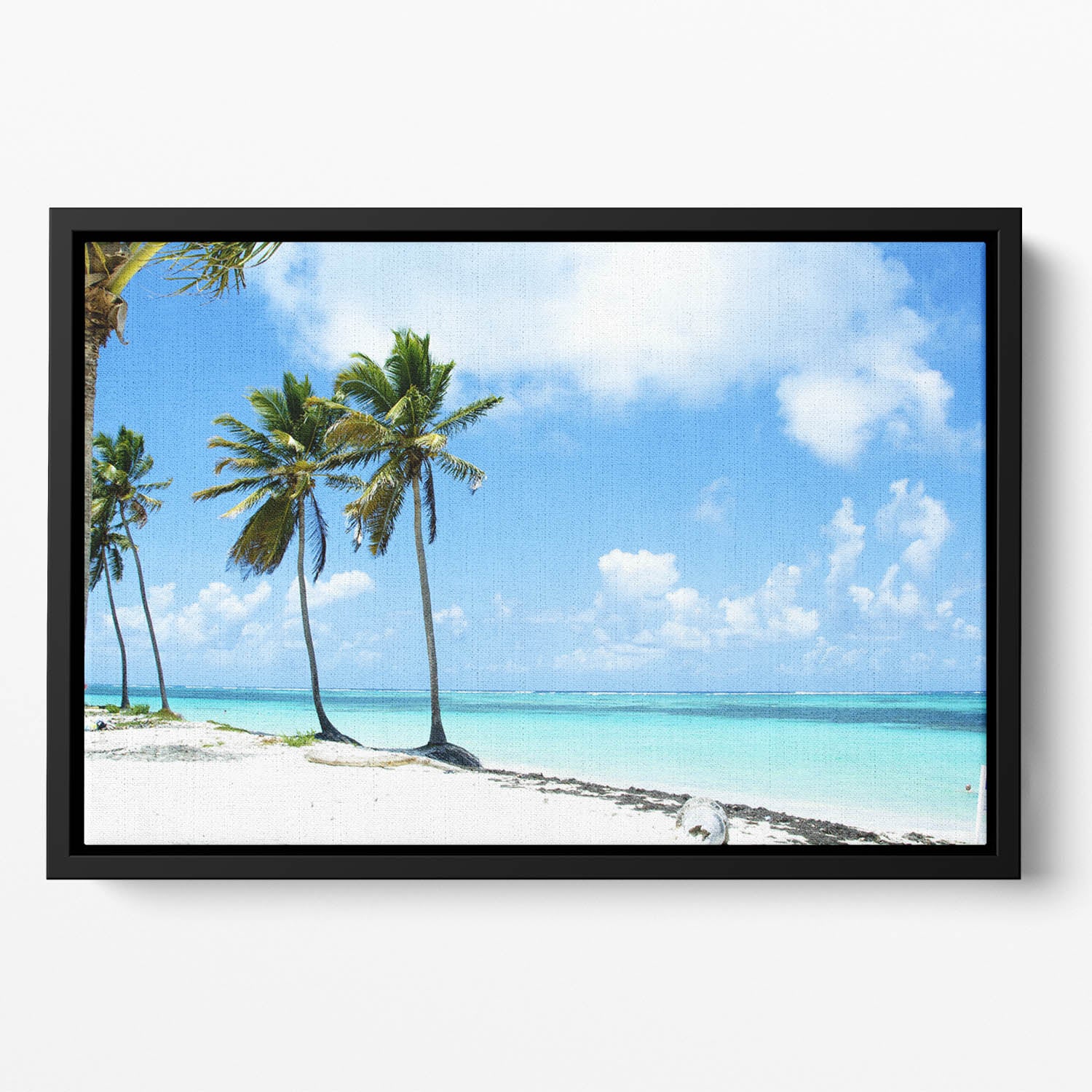 beaches Floating Framed Canvas