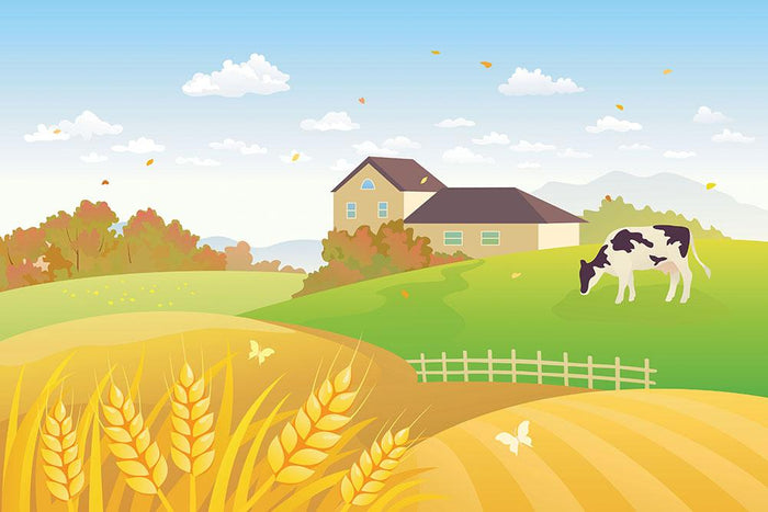 beautiful fall countryside scene with a grazing cow Wall Mural Wallpaper