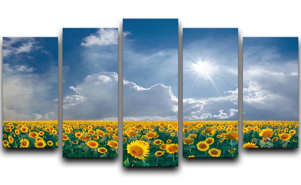big sunflowers field and blue sky 5 Split Panel Canvas  - Canvas Art Rocks - 1