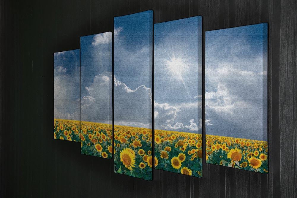 big sunflowers field and blue sky 5 Split Panel Canvas  - Canvas Art Rocks - 2