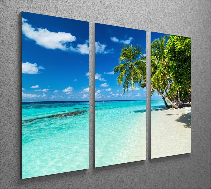coco palms on paradise beach 3 Split Panel Canvas Print - Canvas Art Rocks - 2