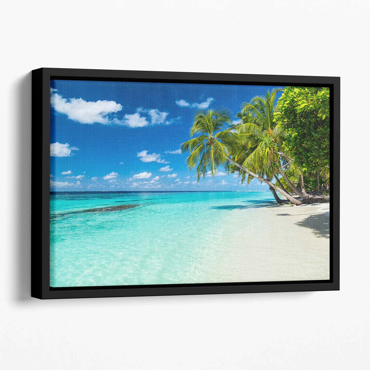 coco palms on paradise beach Floating Framed Canvas